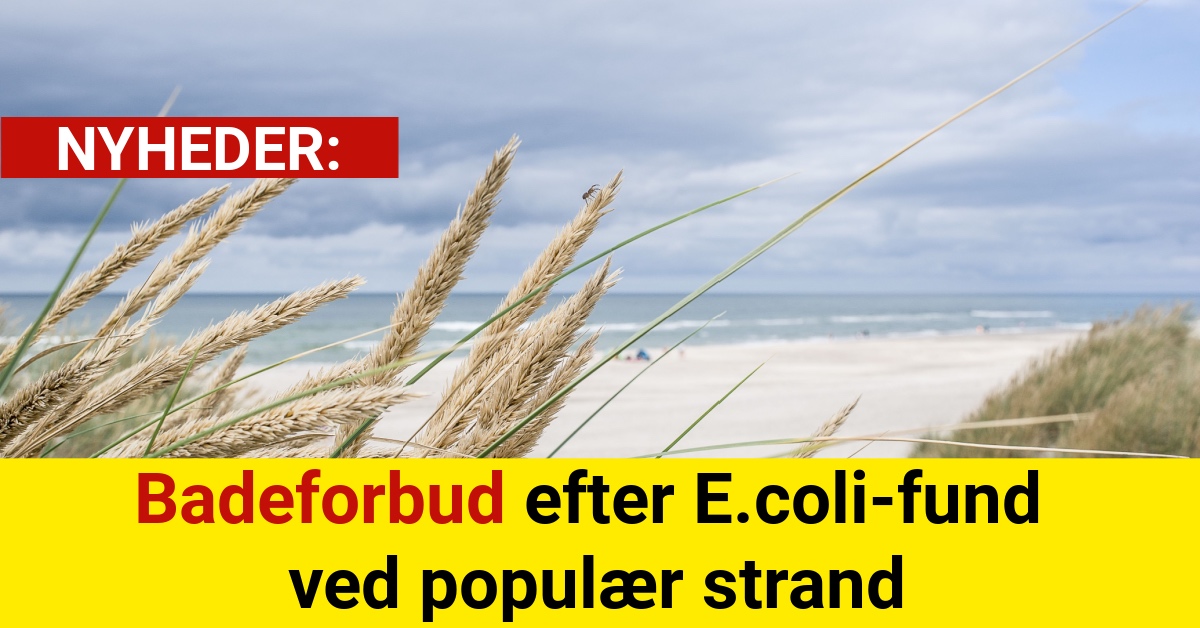 Badeforbud efter E.coli-fund ved populær strand