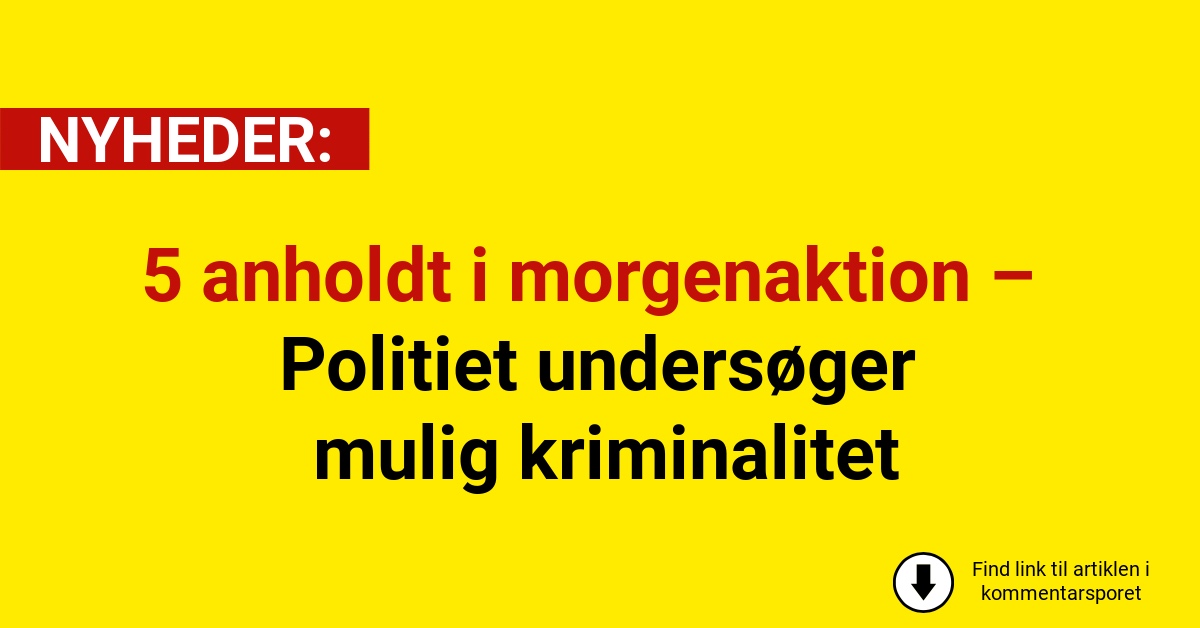 5 anholdt i morgenaktion – Politiet undersøger mulig kriminalitet