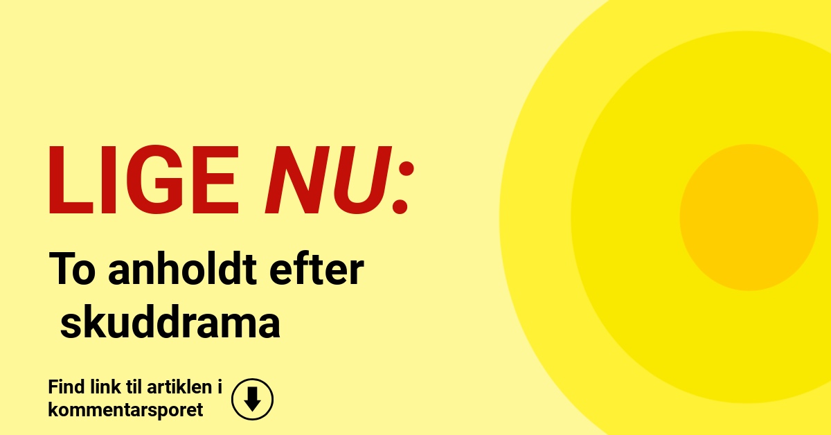 To anholdt efter skuddrama