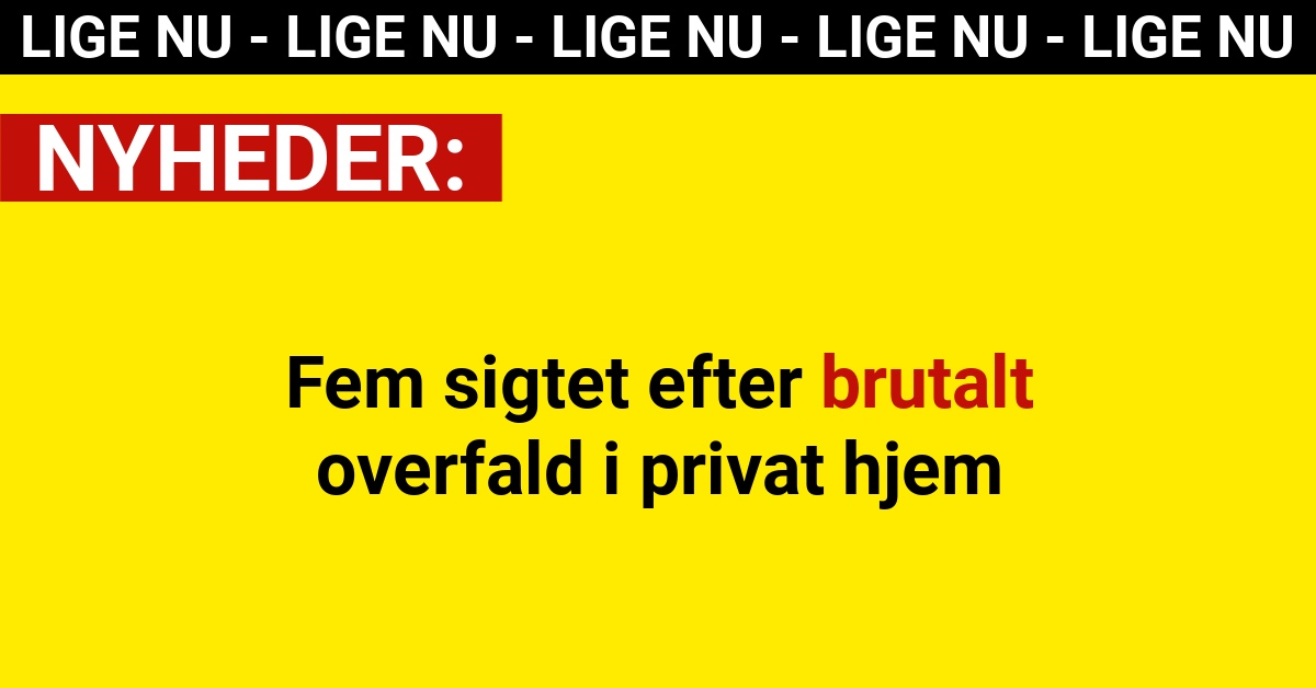 Fem sigtet efter brutalt overfald i privat hjem