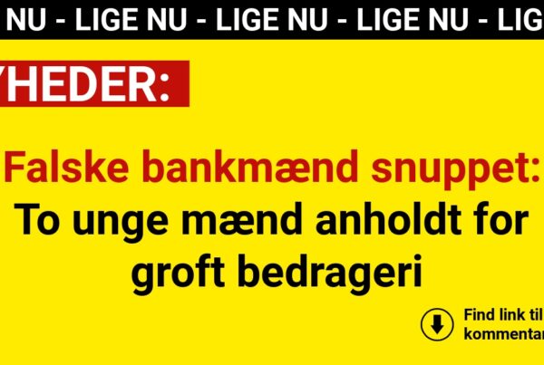 Falske bankmænd snuppet: To unge mænd anholdt for groft bedrageri