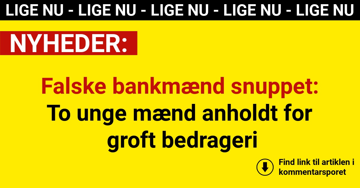 Falske bankmænd snuppet: To unge mænd anholdt for groft bedrageri