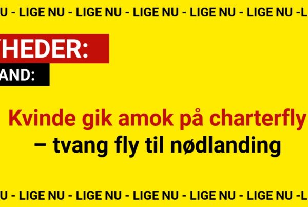 Kvinde gik amok på charterfly – tvang fly til nødlanding