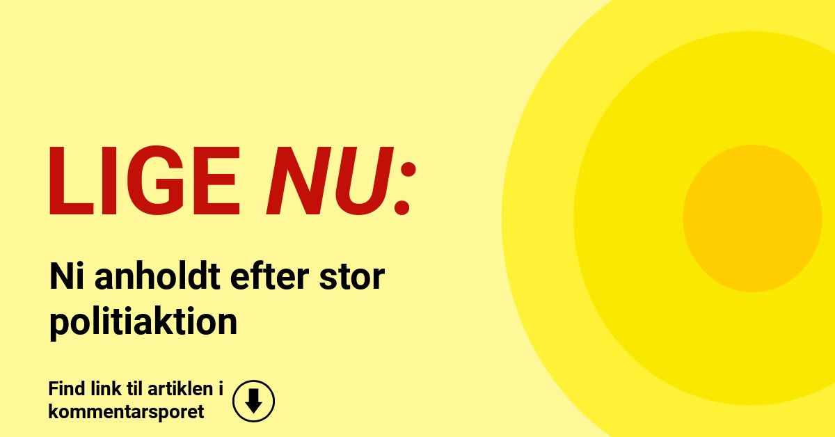 Ni anholdt efter stor politiaktion