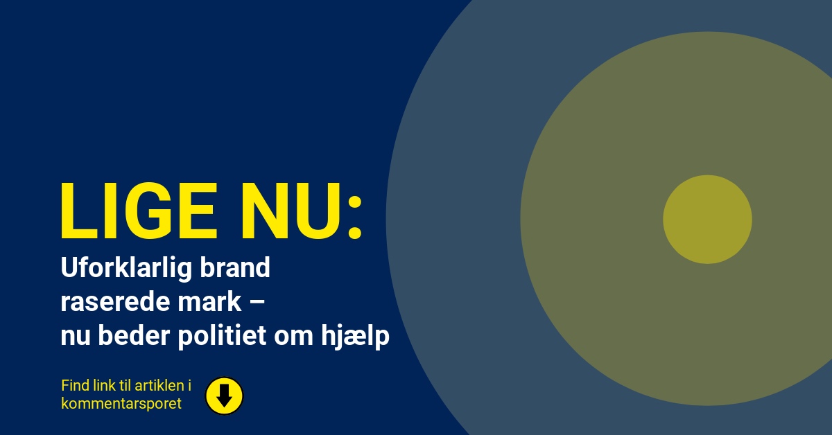 Uforklarlig brand raserede mark – nu beder politiet om hjælp