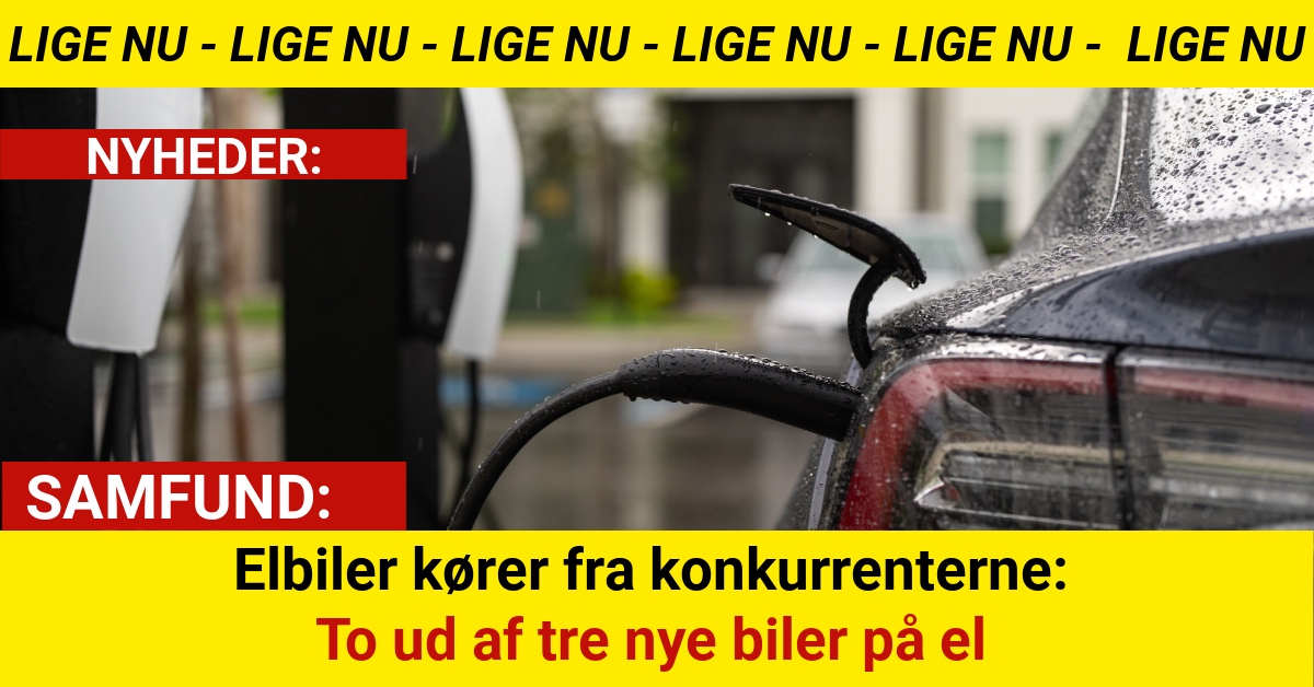 Elbiler kører fra konkurrenterne: To ud af tre nye biler på el