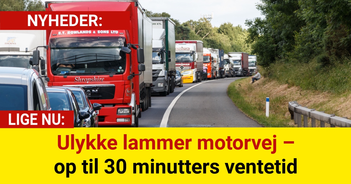 Ulykke lammer motorvej – op til 30 minutters ventetid