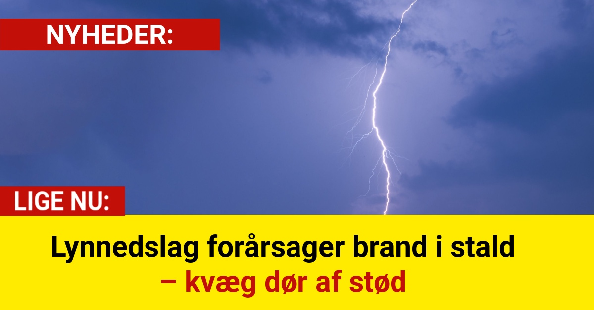 Lynnedslag forårsager brand i stald – kvæg dør af stød