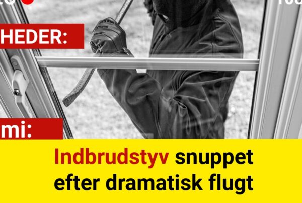Indbrudstyv snuppet efter dramatisk flugt