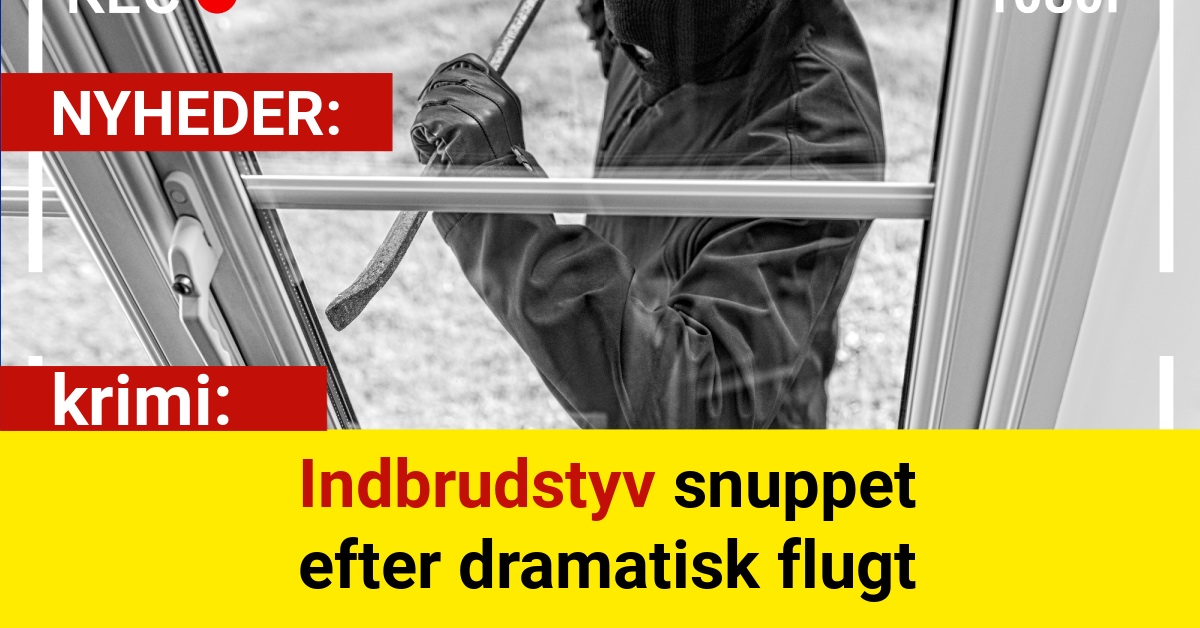 Indbrudstyv snuppet efter dramatisk flugt