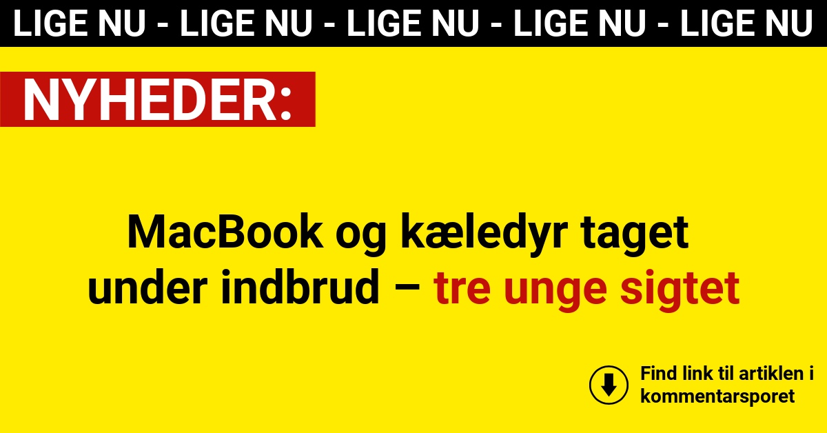 MacBook og kæledyr taget under indbrud – tre unge sigtet