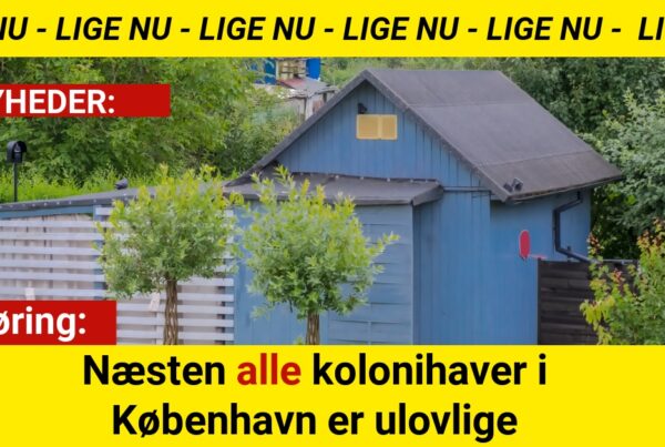 Afsløring: Næsten alle kolonihaver i København er ulovlige