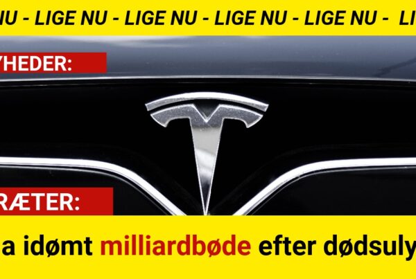 Tesla idømt milliardbøde efter dødsulykke