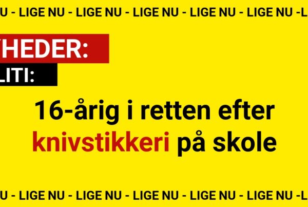 16-årig i retten efter knivstikkeri på skole