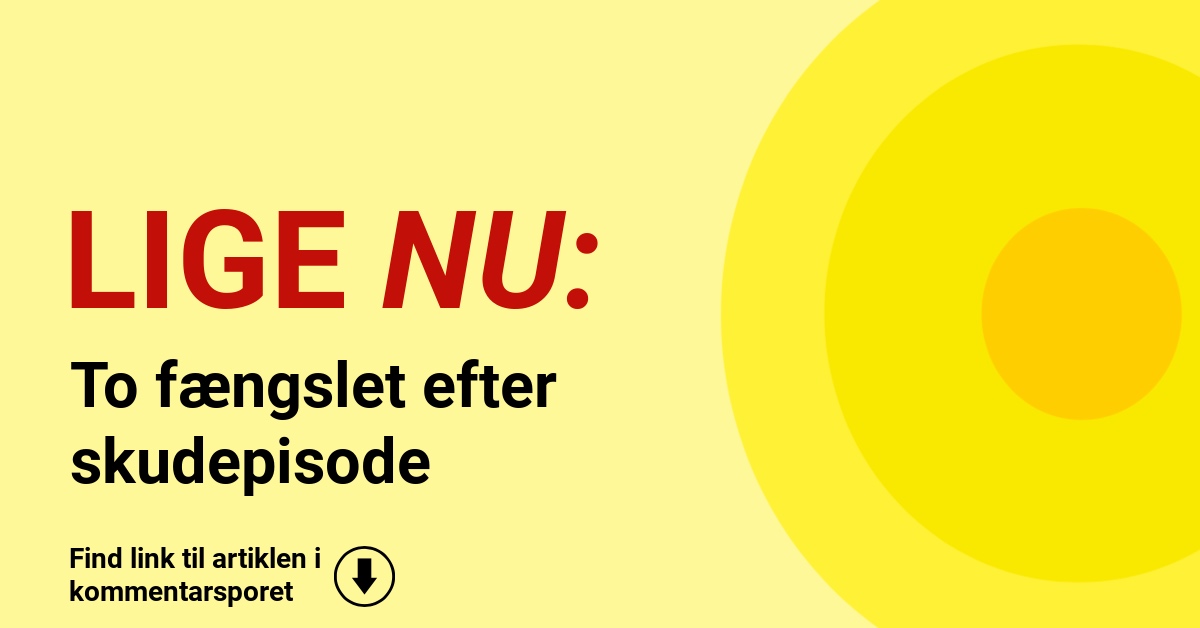 To fængslet efter skudepisode