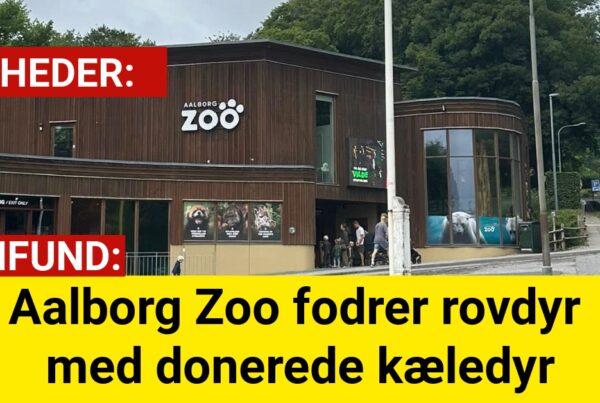 Aalborg Zoo fodrer rovdyr med donerede kæledyr