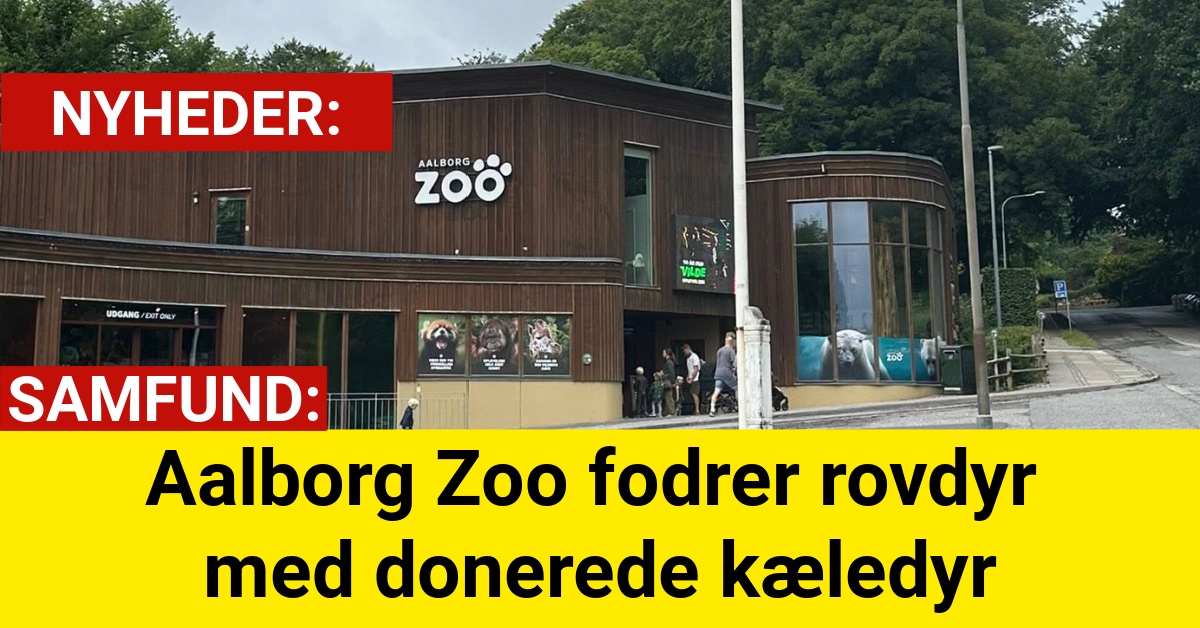 Aalborg Zoo fodrer rovdyr med donerede kæledyr