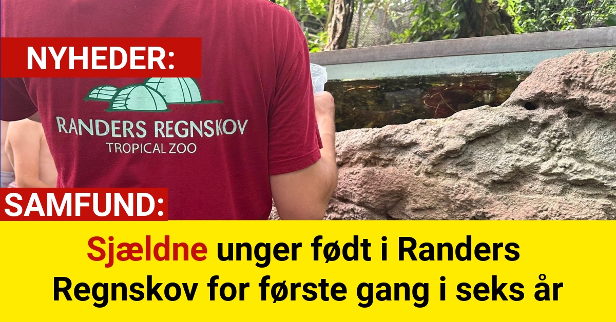 Sjældne unger født i Randers Regnskov for første gang i seks år