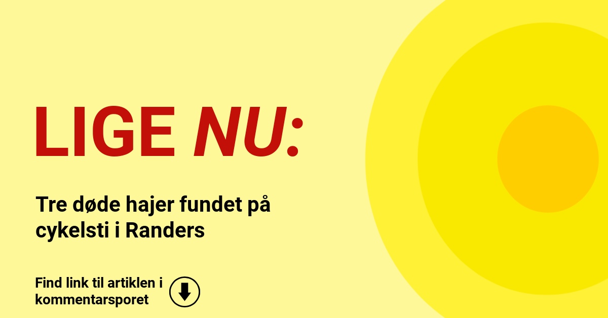Tre døde hajer fundet på cykelsti i Randers