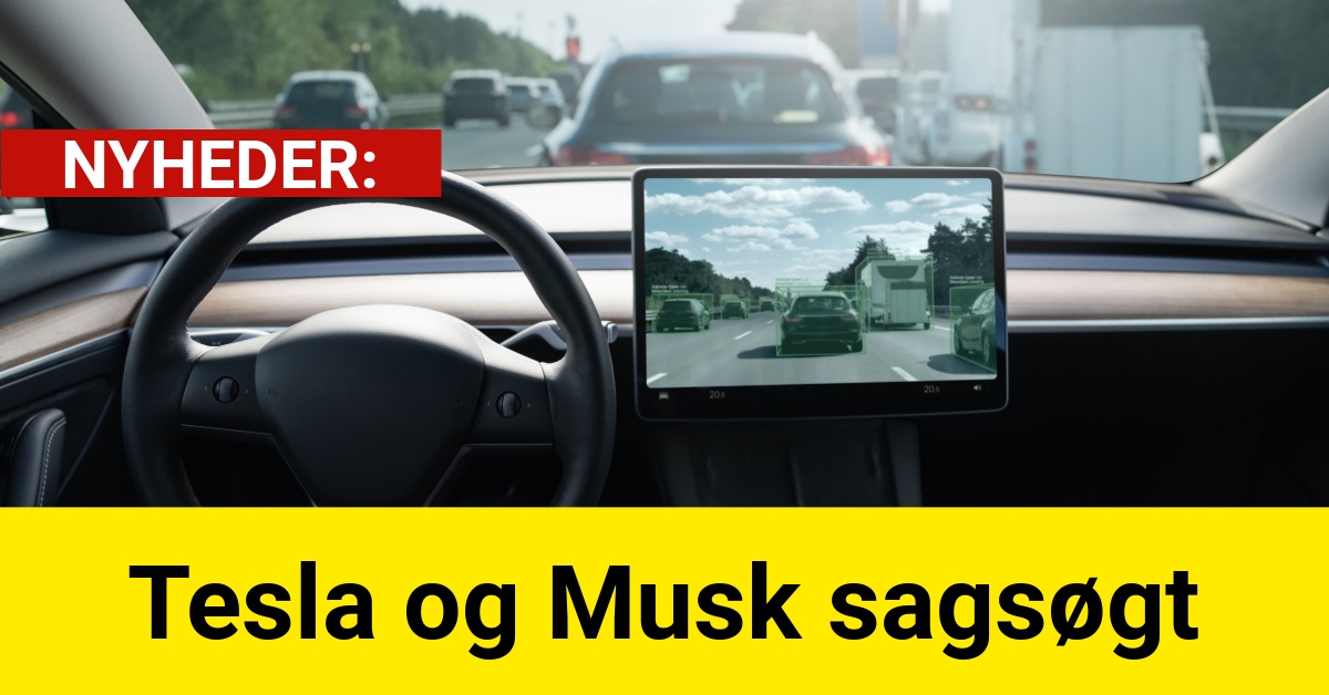 Tesla og Musk sagsøgt