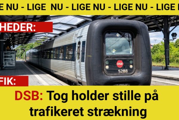 DSB: Tog holder stille på trafikeret strækning