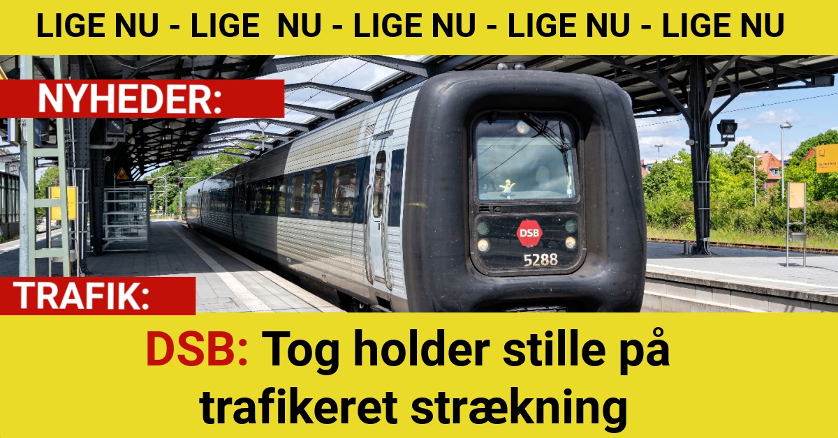 DSB: Tog holder stille på trafikeret strækning
