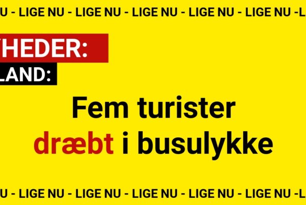 Fem turister dræbt i busulykke