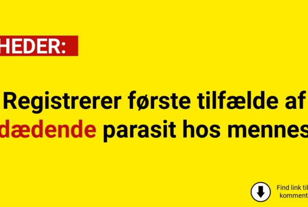 Registrerer første tilfælde af kødædende parasit hos menneske