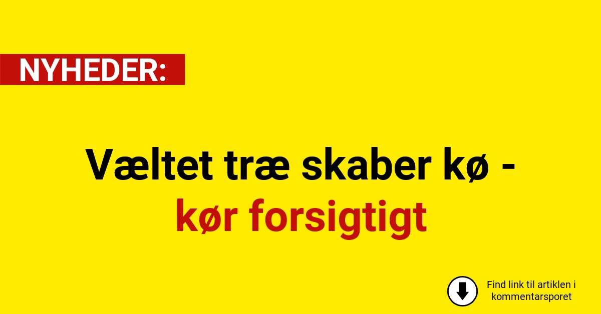 Væltet træ skaber kø - kør forsigtigt