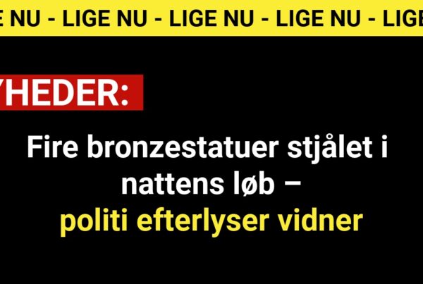 Fire bronzestatuer stjålet i nattens løb – politi efterlyser vidner