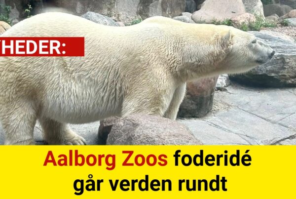 Aalborg Zoos foderidé går verden rundt