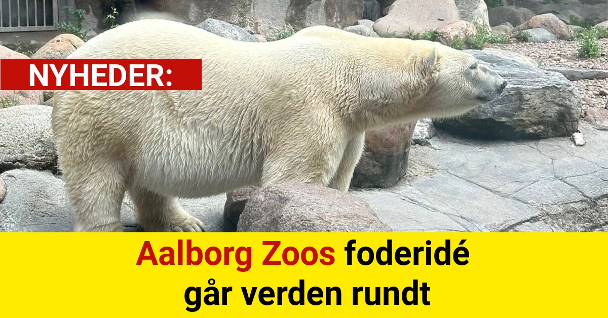 Aalborg Zoos foderidé går verden rundt