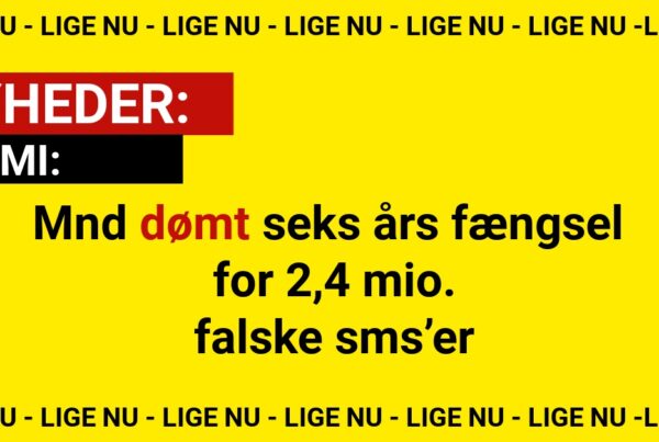 41-årig mand dømt seks års fængsel for 2,4 mio. falske sms’er