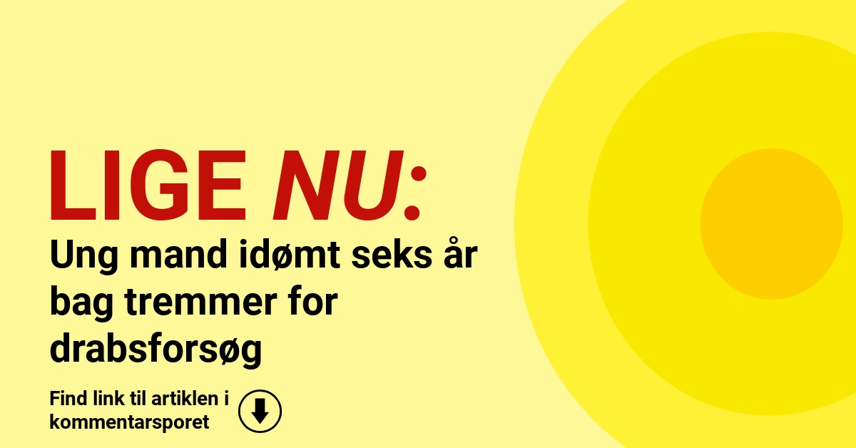Ung mand idømt seks år bag tremmer for drabsforsøg