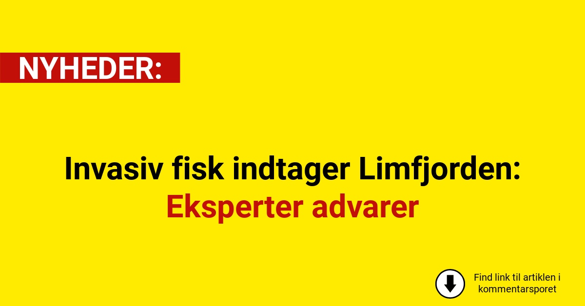 Invasiv fisk indtager Limfjorden: Eksperter advarer