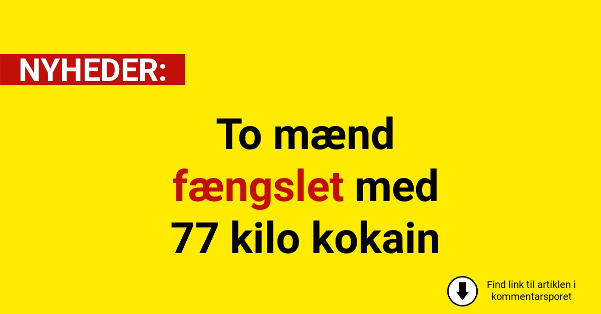 To mænd fængslet med 77 kilo kokain