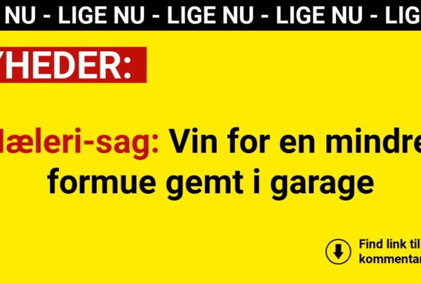 Hæleri-sag: Vin for en mindre formue gemt i garage