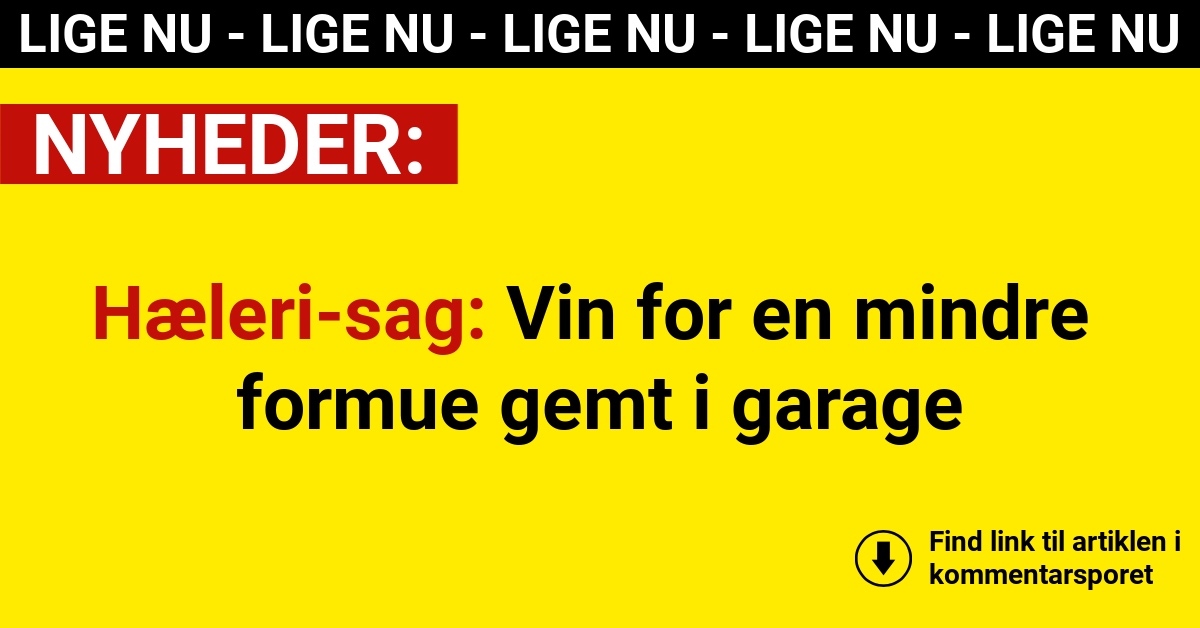 Hæleri-sag: Vin for en mindre formue gemt i garage