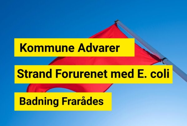 Badevandet ved populær strand forurenet med E. coli – Advarsel udsendt
