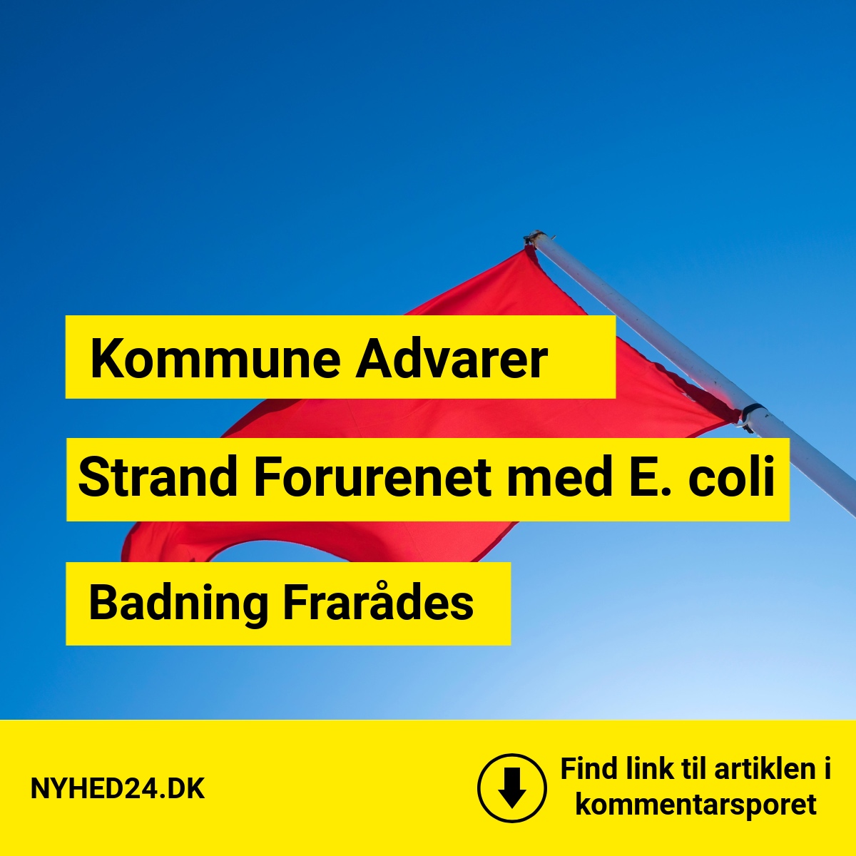 Badevandet ved populær strand forurenet med E. coli – Advarsel udsendt