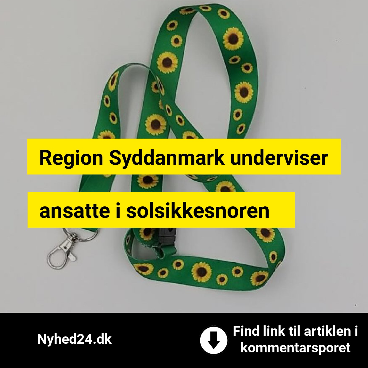 Region Syddanmark underviser ansatte i solsikkesnoren