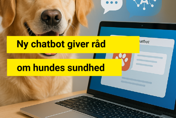 Ny chatbot giver råd om hundes sundhed