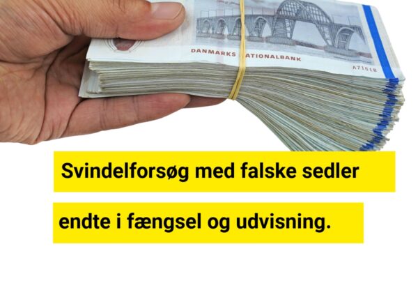 Svindelforsøg med falske sedler endte i fængsel og udvisning