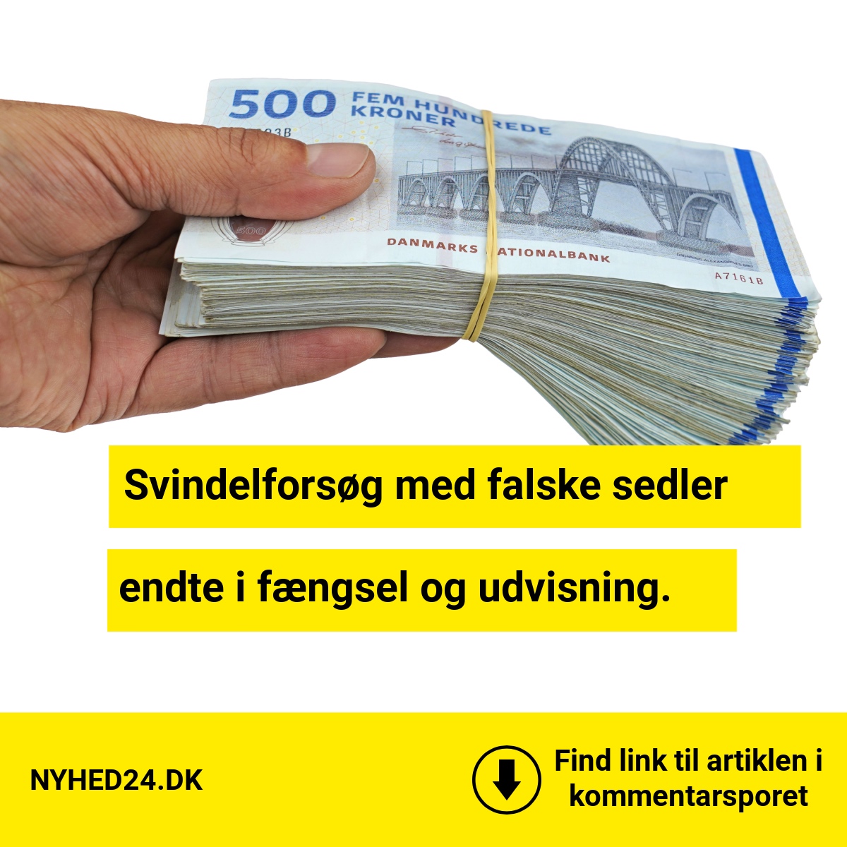 Svindelforsøg med falske sedler endte i fængsel og udvisning