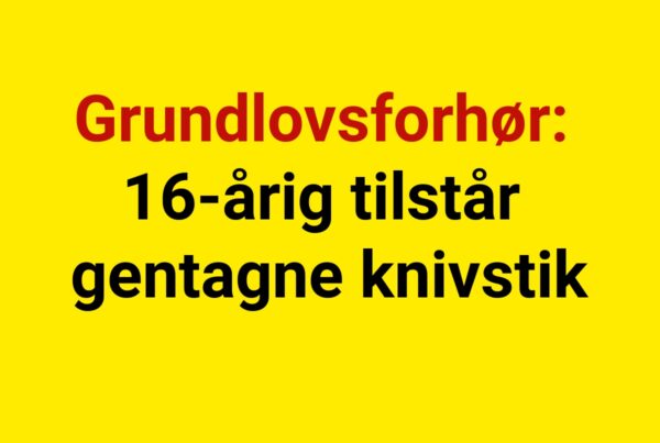 Grundlovsforhør: 16-årig tilstår gentagne knivstik