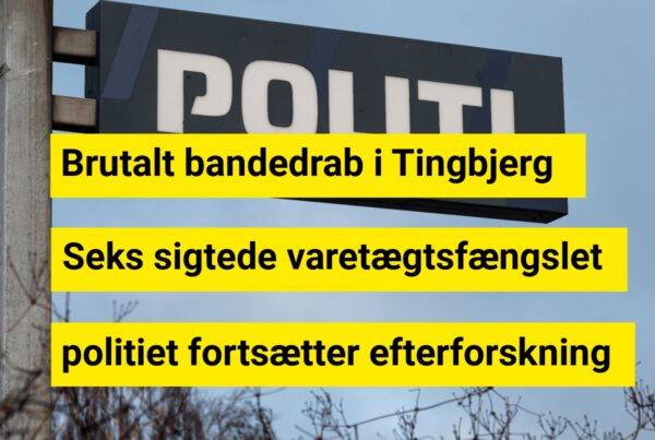 Seks fængslet for koldblodigt drab - tre går fri