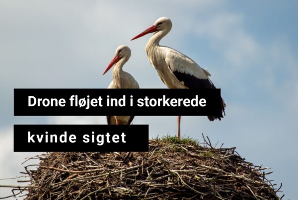 Kvinde anklaget for at genere stork med drone