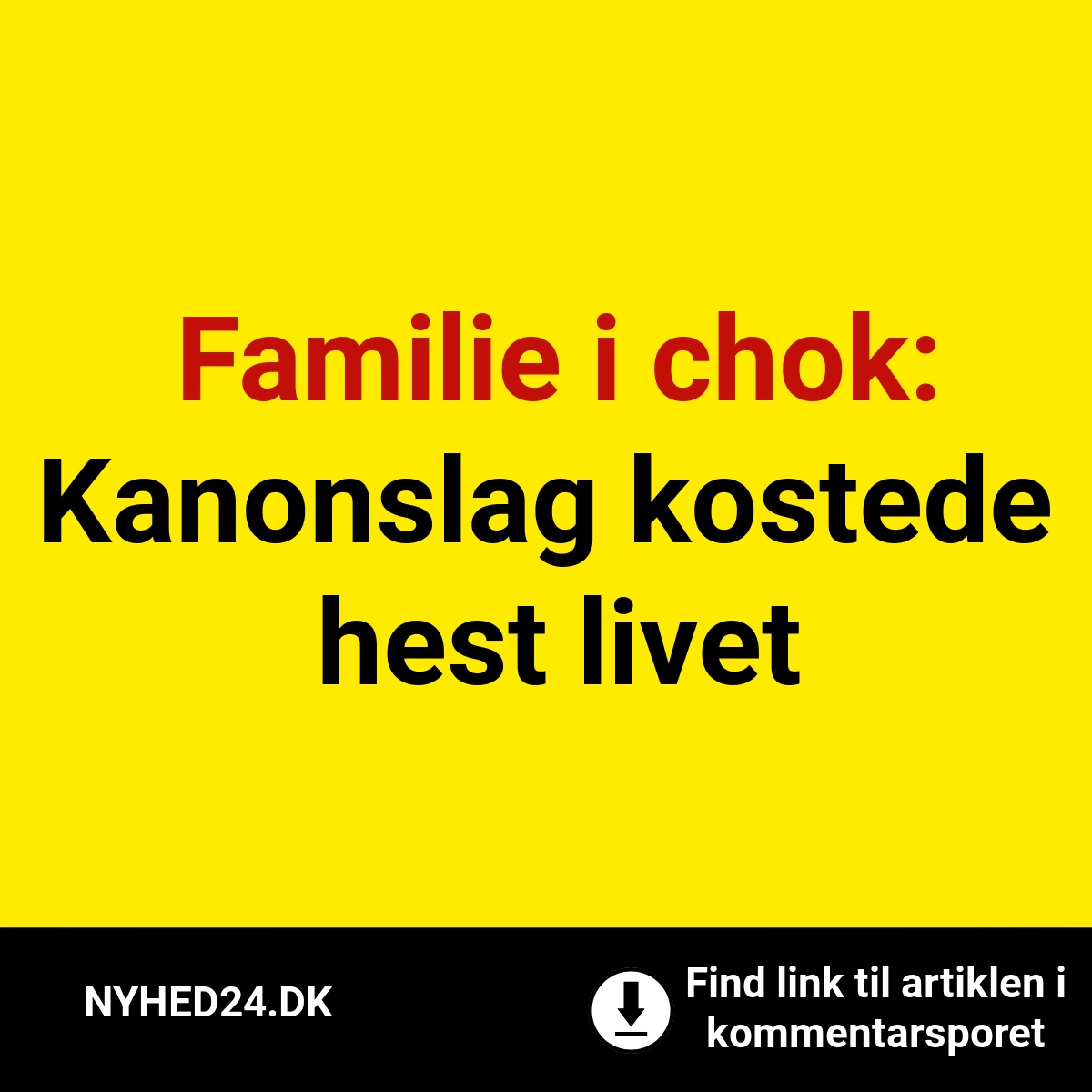 Familie i chok: Kanonslag kostede hest livet