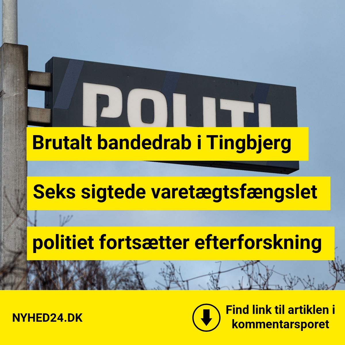 Seks fængslet for koldblodigt drab - tre går fri