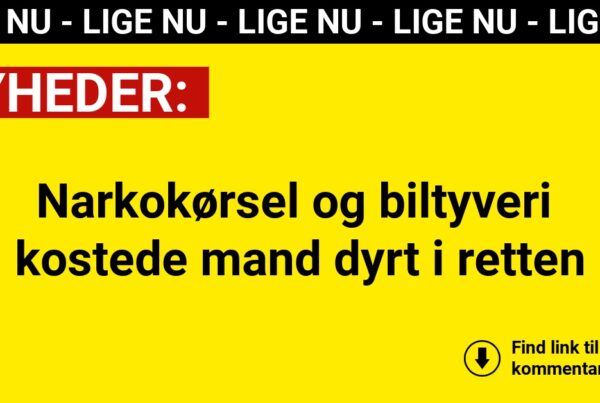 Narkokørsel og biltyveri kostede mand dyrt i retten